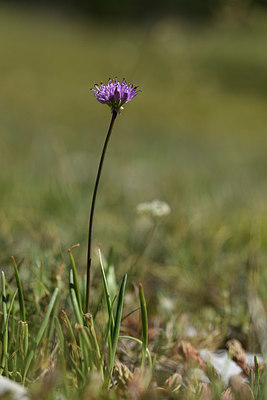 BUITEN BEELD Foto: 394858