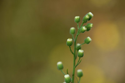 BUITEN BEELD Foto: 394871