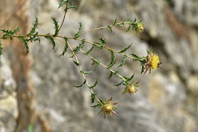 BUITEN BEELD Foto: 394943