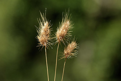 BUITEN BEELD Foto: 394981