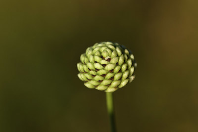 BUITEN BEELD Foto: 394996