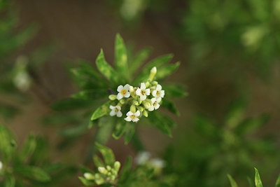 BUITEN BEELD Foto: 395001