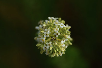 BUITEN BEELD Foto: 395011