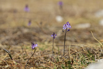 BUITEN BEELD Foto: 395063