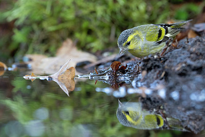 BUITEN BEELD Foto: 395638