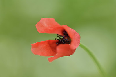 BUITEN BEELD Foto: 395652