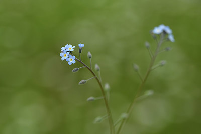 BUITEN BEELD Foto: 395659