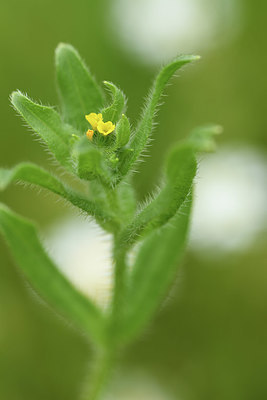 BUITEN BEELD Foto: 395665