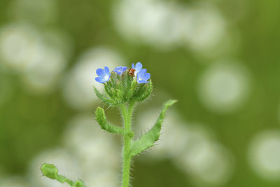 BUITEN BEELD Foto: 395667