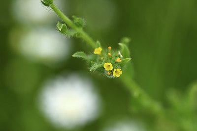 BUITEN BEELD Foto: 395683