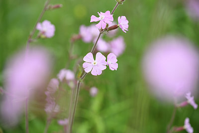 BUITEN BEELD Foto: 395704