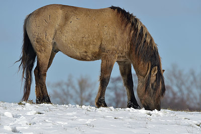 BUITEN BEELD Foto: 395717