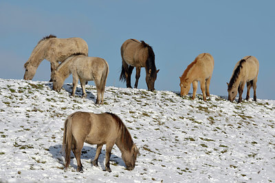 BUITEN BEELD Foto: 395731