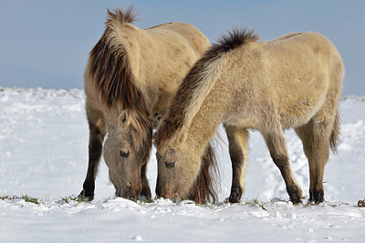 BUITEN BEELD Foto: 395733