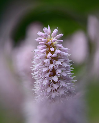 BUITEN BEELD Foto: 395770