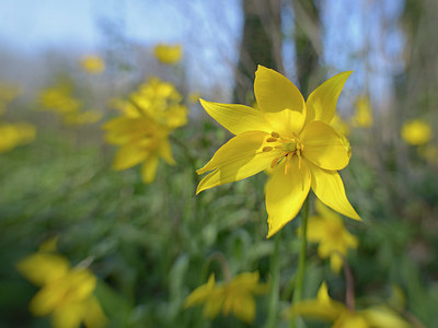 BUITEN BEELD Foto: 395780