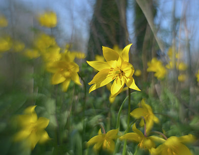BUITEN BEELD Foto: 395812