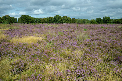 BUITEN BEELD Foto: 395825