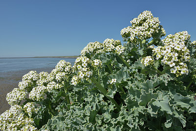 BUITEN BEELD Foto: 395830