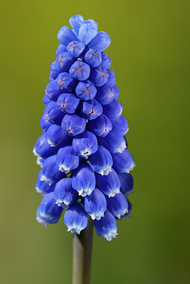 BUITEN BEELD Foto: 395833