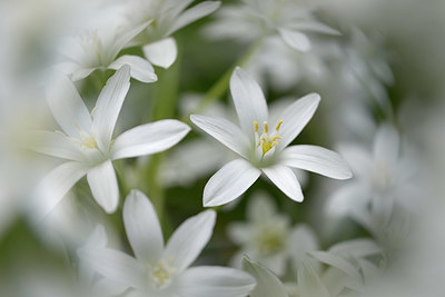 BUITEN BEELD Foto: 395835