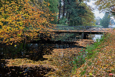 BUITEN BEELD Foto: 395846