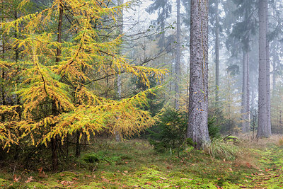 BUITEN BEELD Foto: 395854