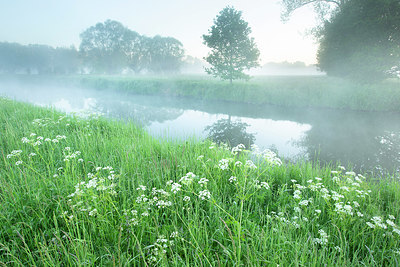 BUITEN BEELD Foto: 396126