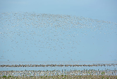 BUITEN BEELD Foto: 396162