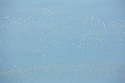 BUITEN BEELD Foto: 396163