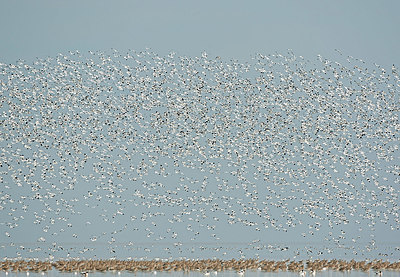 BUITEN BEELD Foto: 396175
