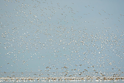 BUITEN BEELD Foto: 396177