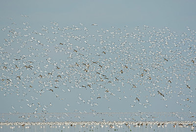 BUITEN BEELD Foto: 396179