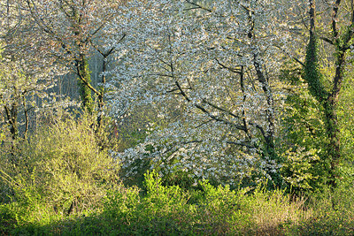 BUITEN BEELD Foto: 396230