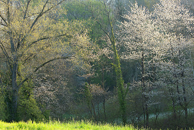 BUITEN BEELD Foto: 396238