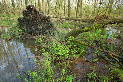 BUITEN BEELD Foto: 396241