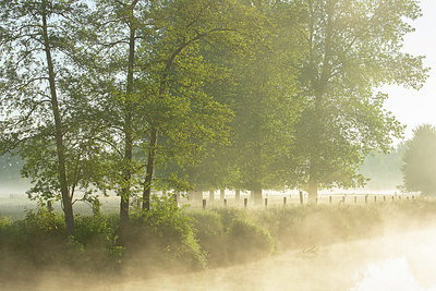 BUITEN BEELD Foto: 396273