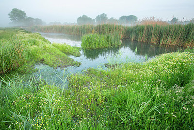 BUITEN BEELD Foto: 396308