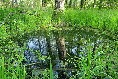 BUITEN BEELD Foto: 396310