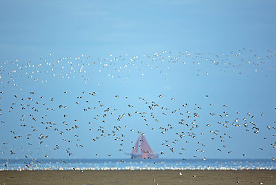 BUITEN BEELD Foto: 396329