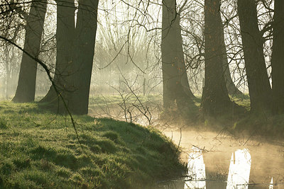 BUITEN BEELD Foto: 396332