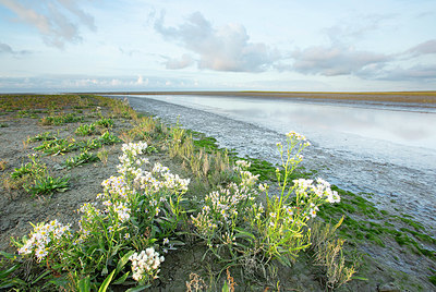 BUITEN BEELD Foto: 396352