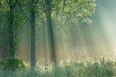 BUITEN BEELD Foto: 396366