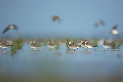 BUITEN BEELD Foto: 396375