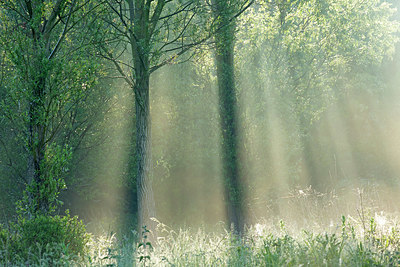 BUITEN BEELD Foto: 396395