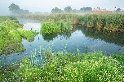 BUITEN BEELD Foto: 396396