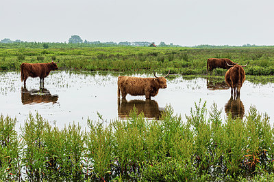 BUITEN BEELD Foto: 396406