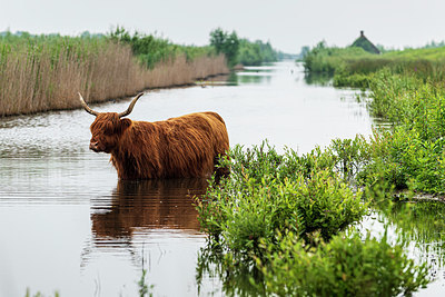 BUITEN BEELD Foto: 396408