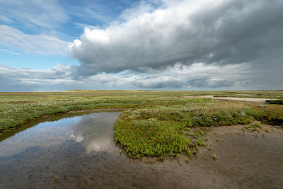 BUITEN BEELD Foto: 396448