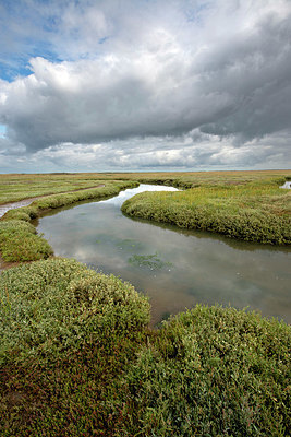 BUITEN BEELD Foto: 396449